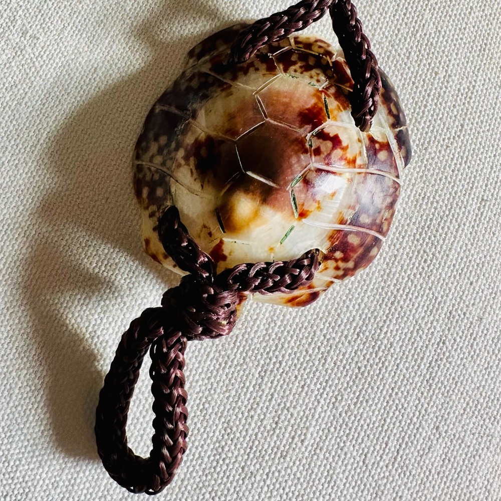 Cowrie Shell Belt - image 7